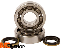 HOT RODS K057 ŁOŻYSKA WAŁU KORBOWEGO SUZUKI RM 25